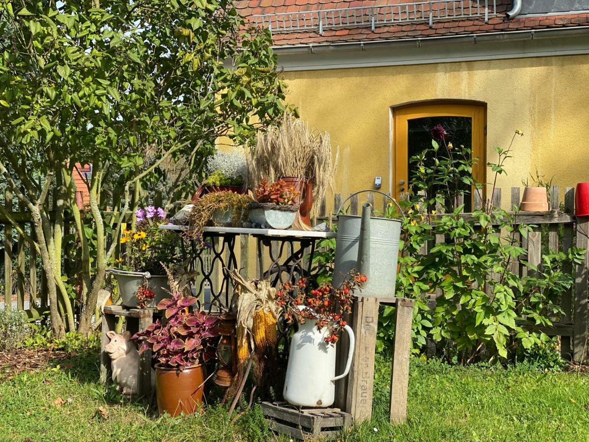 Moderne Pension Vonbartsch Mit Ladestation In Der Saechsischen Schweiz Struppen Eksteriør billede